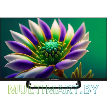 Телевизор Topdevice TDTV24CS04H_BK